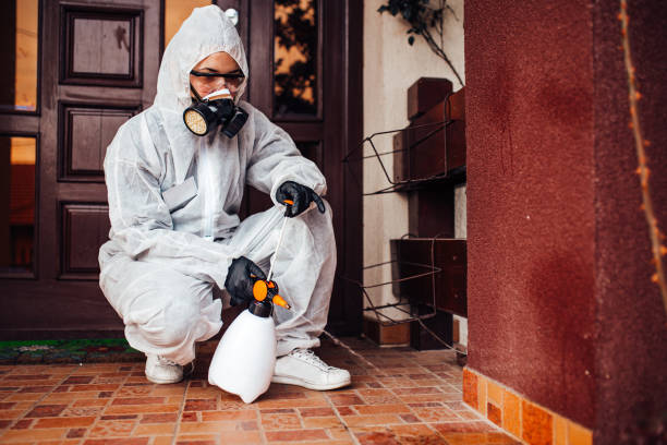 Attic and Crawl Space Rodent Treatment in Chappaqua