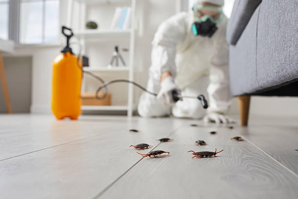 Commercial Rodent Management in Chappaqua